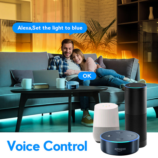 Smart 5 in 1 WiFi LED Controller for Strip Lights RGBCCT RGBW Work with Alexa/Google Assistant,APP/Voice Control Color Change Dimming(Only a WiFi Controller)