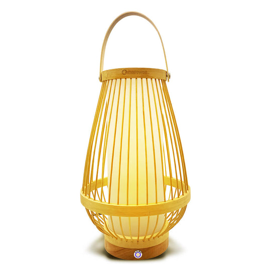 Rechargeable LED Table Lights