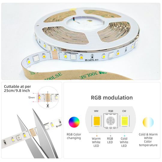 24V RGBCCT LED Strip Lights 10m (32.8ft ) only LED Strip RGBWW